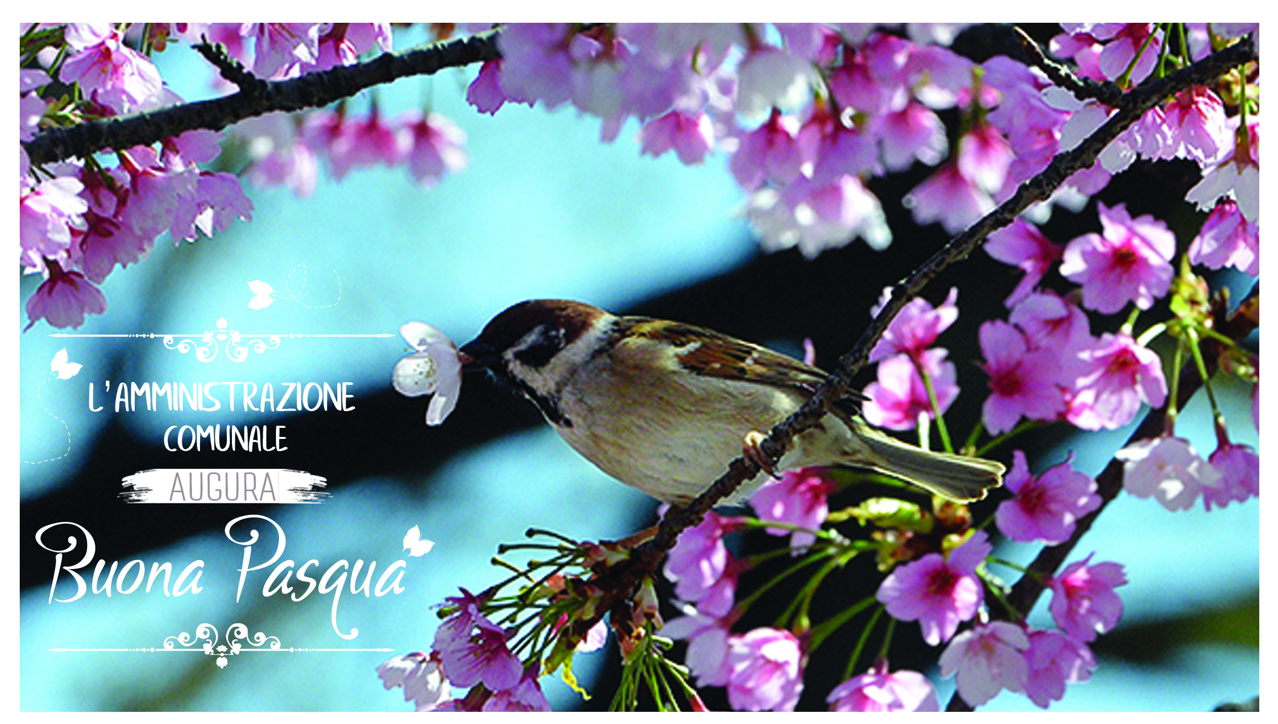 BIGLIETTO_DI_AUGURI_DI_BUONA_PASQUA